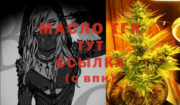 твердый Михайловск
